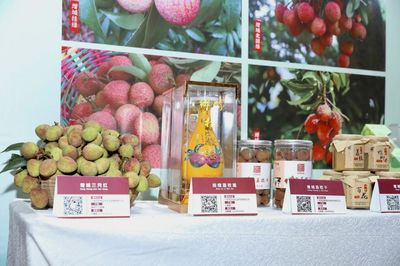 廣州荔枝采摘上市,今年將有巨美人、無核、嶺豐糯等新品種