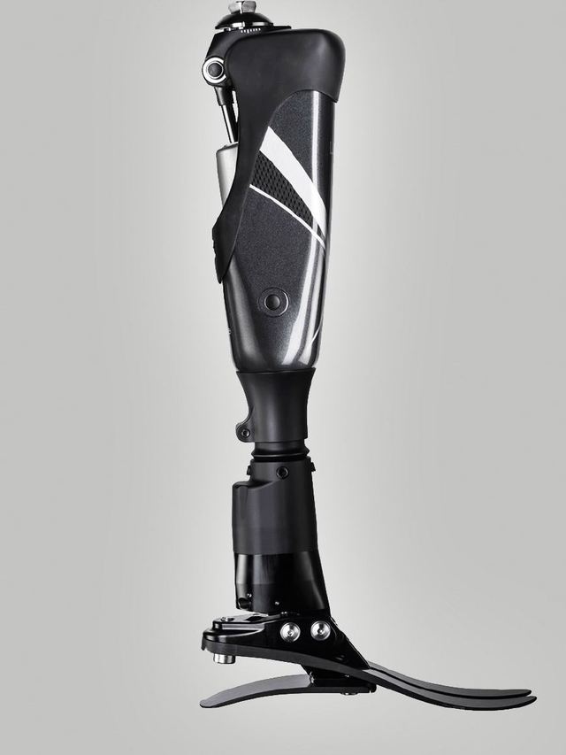 當寄居蟹穿上“定制新家” 3D打印假肢與矯形器如何為特殊動物伙伴帶來新生